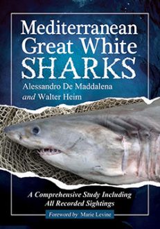 Mediterranean Great White Sharks